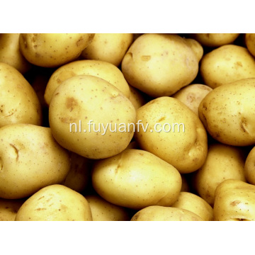 Directe groothandel verse grote aardappel
